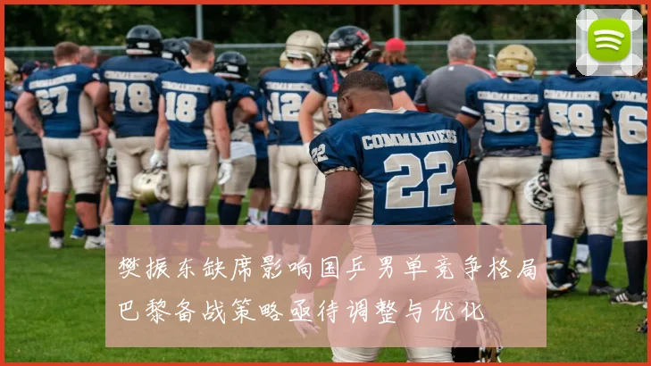 樊振东缺席影响国乒男单竞争格局巴黎备战策略亟待调整与优化