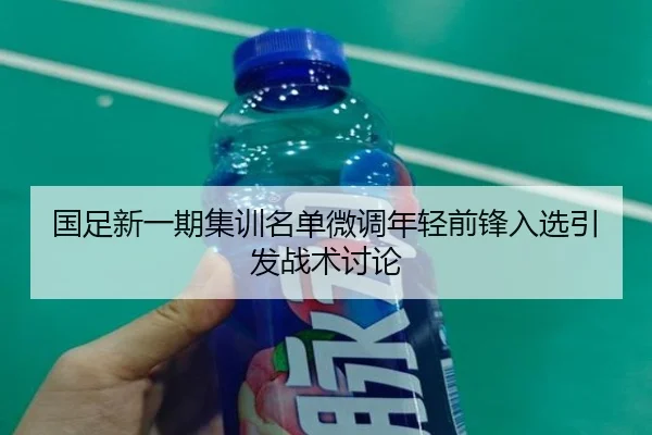 国足新一期集训名单微调年轻前锋入选引发战术讨论